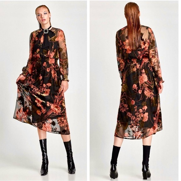 Zara Devore Chiffon Velvet Dress - Picture 3 of 6